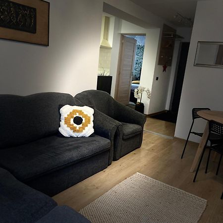 Roman Residence Apartment Borşa エクステリア 写真