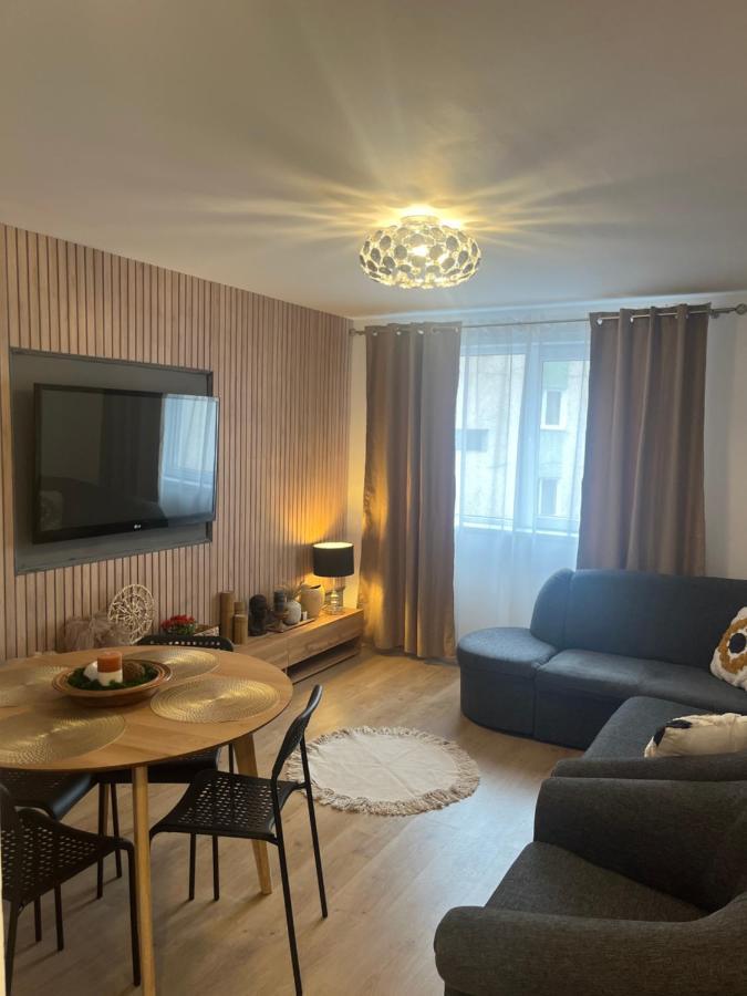 Roman Residence Apartment Borşa エクステリア 写真