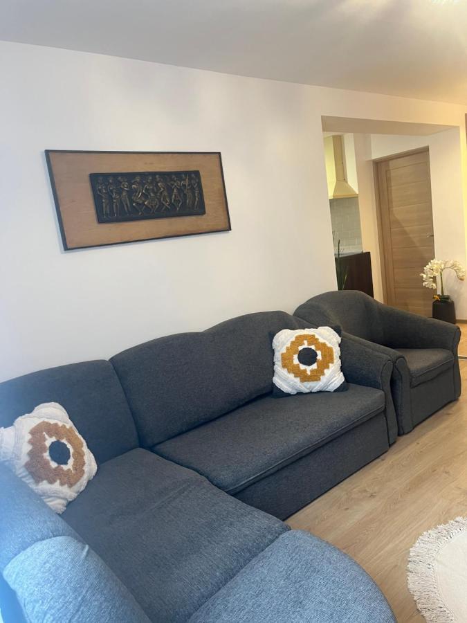 Roman Residence Apartment Borşa エクステリア 写真