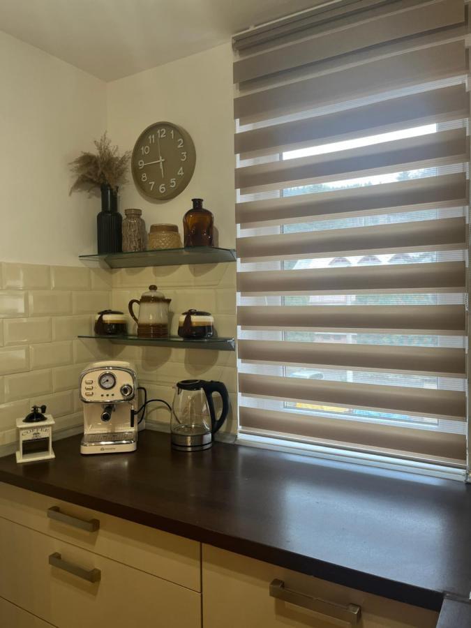 Roman Residence Apartment Borşa エクステリア 写真