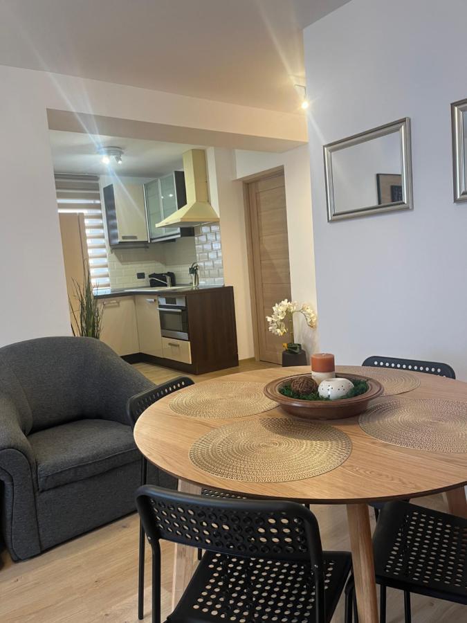 Roman Residence Apartment Borşa エクステリア 写真