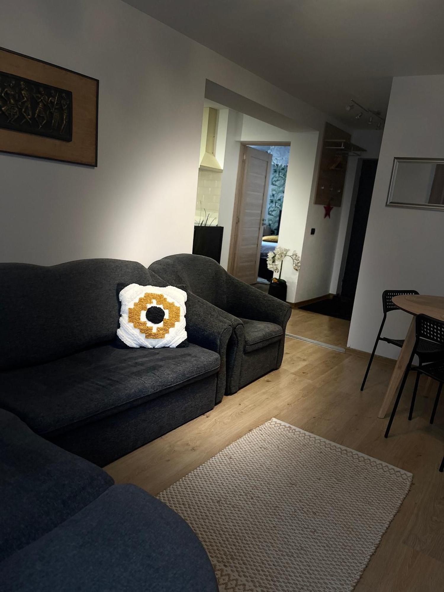 Roman Residence Apartment Borşa エクステリア 写真
