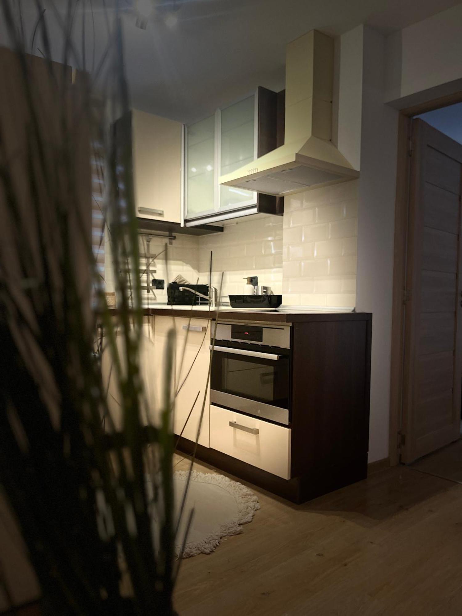 Roman Residence Apartment Borşa エクステリア 写真