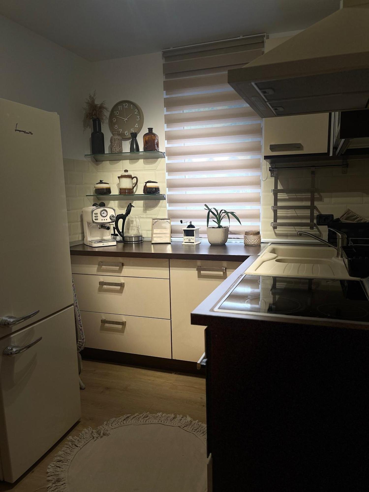 Roman Residence Apartment Borşa エクステリア 写真