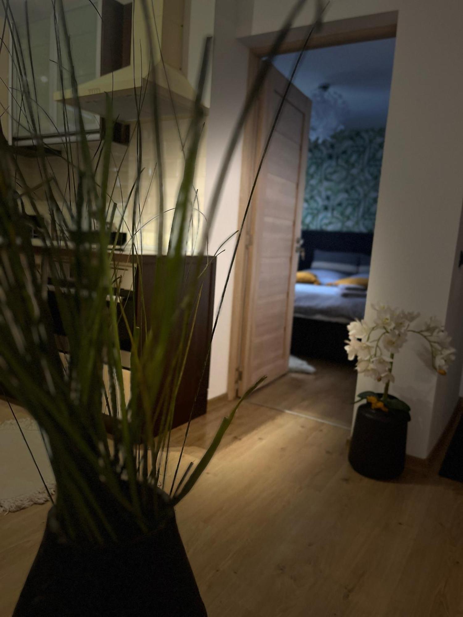 Roman Residence Apartment Borşa エクステリア 写真