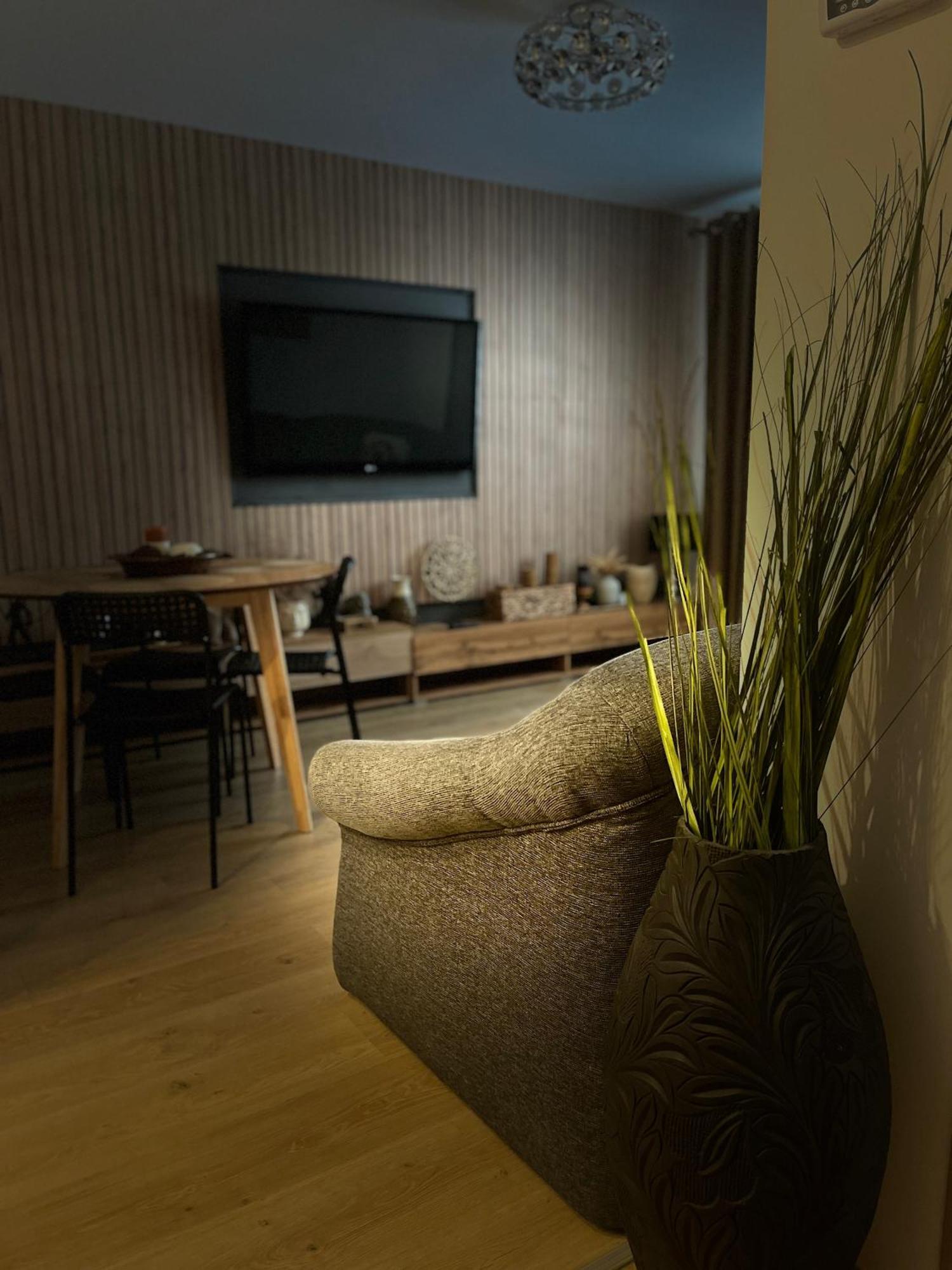 Roman Residence Apartment Borşa エクステリア 写真